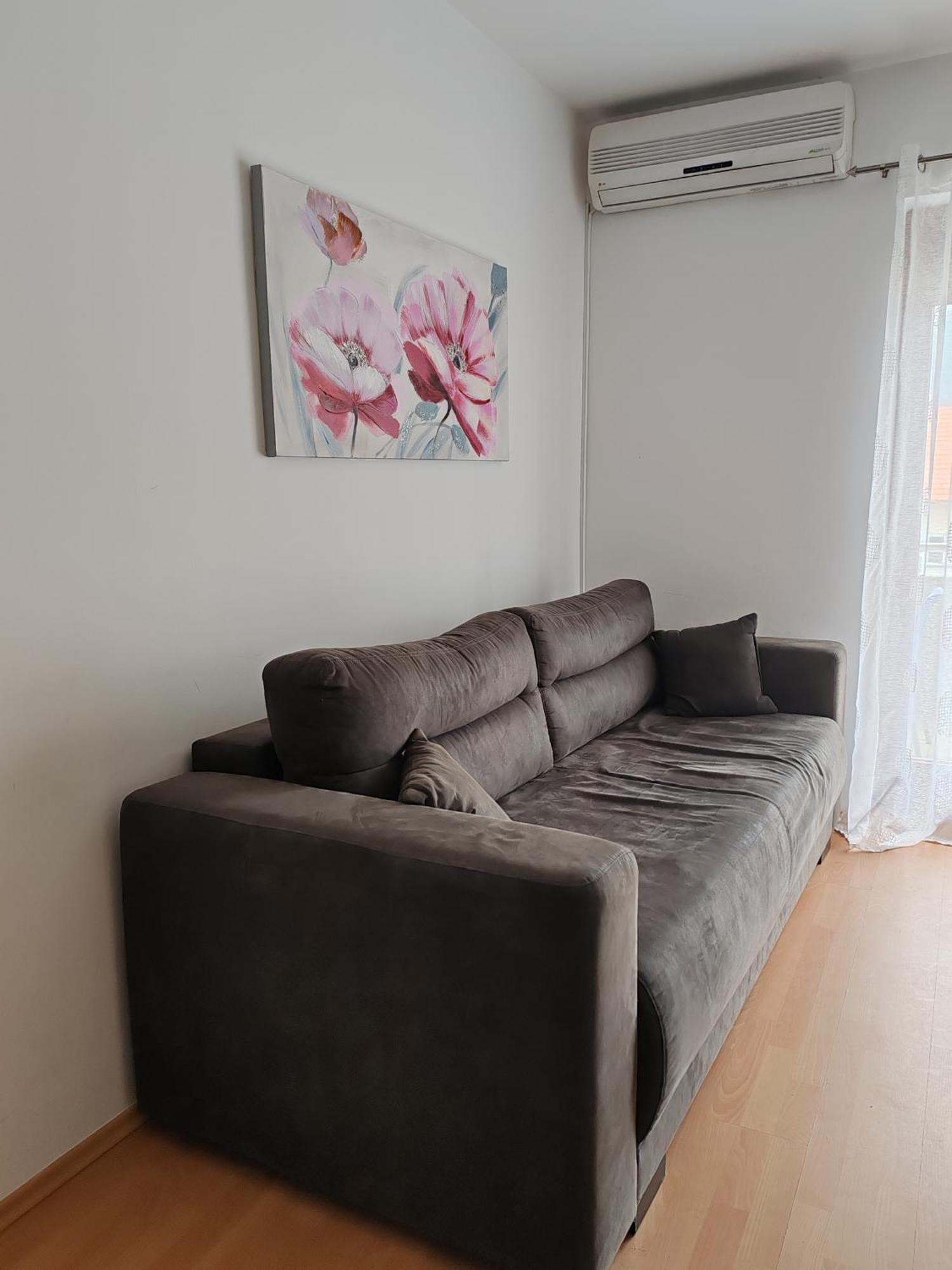 Apartmani Nana Sokobanja 客房 照片